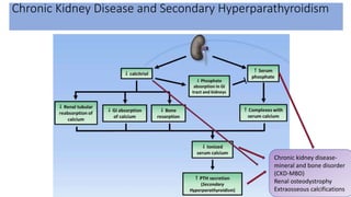 Chronic Kidney Disease and Secondary Hyperparathyroidism
Chronic kidney disease-
mineral and bone disorder
(CKD-MBD)
Renal osteodystrophy
Extraosseous calcifications
 