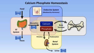 1000
mg
800
mg
200
mg
200
mg
 