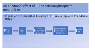 An additional effect of PH on calcium/phosphate
metabolism
• In addition to its regulation by calcium , PTH is also regulated by acid base
status
Serum
PH
PTH
urinary
excretion of
phosphate
buffering of h+
ions excreted in
distal tubules
serum
PH
 
