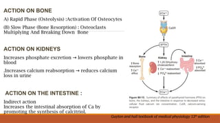 Calcium and phosphate metabolism and significance in dentistry | PPTX