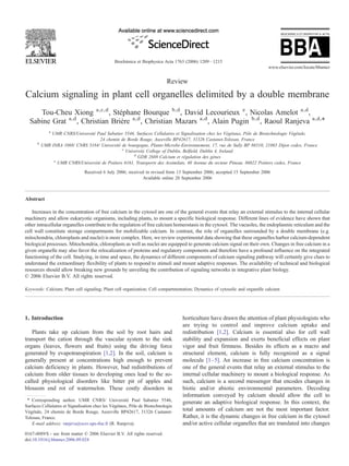 Biochimica et Biophysica Acta 1763 (2006) 1209 – 1215
                                                                                                                              www.elsevier.com/locate/bbamcr


                                                                            Review
Calcium signaling in plant cell organelles delimited by a double membrane
     Tou-Cheu Xiong a,c,d , Stéphane Bourque b,d , David Lecourieux e , Nicolas Amelot a,d ,
  Sabine Grat a,d , Christian Brière a,d , Christian Mazars a,d , Alain Pugin b,d , Raoul Ranjeva a,d,⁎
             a
              UMR CNRS/Université Paul Sabatier 5546, Surfaces Cellulaires et Signalisation chez les Végétaux, Pôle de Biotechnologie Végétale,
                                    24 chemin de Borde Rouge, Auzeville BP42617, 31326 Castanet-Tolosan, France
      b
          UMR INRA 1088/ CNRS 5184/ Université de bourgogne, Plante-Microbe-Environnement, 17, rue de Sully BP 86510, 21065 Dijon cedex, France
                                                c
                                                  University College of Dublin, Belfield, Dublin 4, Ireland
                                                      d
                                                        GDR 2688 Calcium et régulation des gènes
               e
                 UMR CNRS/Université de Poitiers 6161, Transports des Assimilats, 40 Avenue du recteur Pineau. 86022 Poitiers cedex, France
                               Received 6 July 2006; received in revised form 13 September 2006; accepted 15 September 2006
                                                            Available online 20 September 2006



Abstract

    Increases in the concentration of free calcium in the cytosol are one of the general events that relay an external stimulus to the internal cellular
machinery and allow eukaryotic organisms, including plants, to mount a specific biological response. Different lines of evidence have shown that
other intracellular organelles contribute to the regulation of free calcium homeostasis in the cytosol. The vacuoles, the endoplasmic reticulum and the
cell wall constitute storage compartments for mobilizable calcium. In contrast, the role of organelles surrounded by a double membrane (e.g.
mitochondria, chloroplasts and nuclei) is more complex. Here, we review experimental data showing that these organelles harbor calcium-dependent
biological processes. Mitochondria, chloroplasts as well as nuclei are equipped to generate calcium signal on their own. Changes in free calcium in a
given organelle may also favor the relocalization of proteins and regulatory components and therefore have a profound influence on the integrated
functioning of the cell. Studying, in time and space, the dynamics of different components of calcium signaling pathway will certainly give clues to
understand the extraordinary flexibility of plants to respond to stimuli and mount adaptive responses. The availability of technical and biological
resources should allow breaking new grounds by unveiling the contribution of signaling networks in integrative plant biology.
© 2006 Elsevier B.V. All rights reserved.

Keywords: Calcium; Plant cell signaling; Plant cell organization; Cell compartmentation; Dynamics of cytosolic and organelle calcium




1. Introduction                                                                   horticulture have drawn the attention of plant physiologists who
                                                                                  are trying to control and improve calcium uptake and
   Plants take up calcium from the soil by root hairs and                         redistribution [1,2]. Calcium is essential also for cell wall
transport the cation through the vascular system to the sink                      stability and expansion and exerts beneficial effects on plant
organs (leaves, flowers and fruits) using the driving force                       vigor and fruit firmness. Besides its effects as a macro and
generated by evapotranspiration [1,2]. In the soil, calcium is                    structural element, calcium is fully recognized as a signal
generally present at concentrations high enough to prevent                        molecule [1–5]. An increase in free calcium concentration is
calcium deficiency in plants. However, bad redistributions of                     one of the general events that relay an external stimulus to the
calcium from older tissues to developing ones lead to the so-                     internal cellular machinery to mount a biological response. As
called physiological disorders like bitter pit of apples and                      such, calcium is a second messenger that encodes changes in
blossom end rot of watermelon. These costly disorders in                          biotic and/or abiotic environmental parameters. Decoding
                                                                                  information conveyed by calcium should allow the cell to
 ⁎ Corresponding author. UMR CNRS/ Université Paul Sabatier 5546,
                                                                                  generate an adaptive biological response. In this context, the
Surfaces Cellulaires et Signalisation chez les Végétaux, Pôle de Biotechnologie
Végétale, 24 chemin de Borde Rouge, Auzeville BP42617, 31326 Castanet-            total amounts of calcium are not the most important factor.
Tolosan, France.                                                                  Rather, it is the dynamic changes in free calcium in the cytosol
   E-mail address: ranjeva@scsv.ups-tlse.fr (R. Ranjeva).                         and/or active cellular organelles that are translated into changes
0167-4889/$ - see front matter © 2006 Elsevier B.V. All rights reserved.
doi:10.1016/j.bbamcr.2006.09.024
 