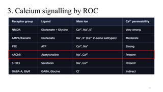 Basingstoke Roc Signalling Calcium signaling and CAR-T Cell exhausted | PPTX