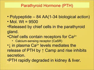 • Polypeptide – 84 AA(1-34 biological action)
• Mol. Wt = 9500
•Released by chief cells in the parathyroid
gland.
•Chief cells contain receptors for Ca2+
• Calcium-sensing receptor (CaSR)
•↓ in plasma Ca2+
levels mediates the
release of PTH by ↑ Camp and rise inhibits
secretion.
•PTH rapidly degraded in kidney & liver.
Parathyroid Hormone (PTH)
 