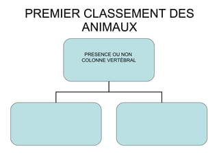 PREMIER CLASSEMENT DES ANIMAUX PRESENCE OU NON  COLONNE VERTÉBRAL 