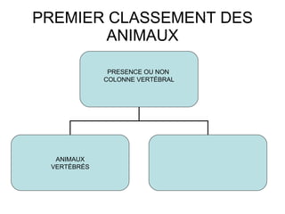 PREMIER CLASSEMENT DES ANIMAUX PRESENCE OU NON  COLONNE VERTÉBRAL ANIMAUX VERTÉBRÉS 