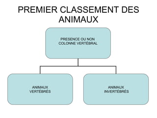 PREMIER CLASSEMENT DES ANIMAUX PRESENCE OU NON  COLONNE VERTÉBRAL ANIMAUX VERTÉBRÉS ANIMAUX INVERTÉBRÉS 