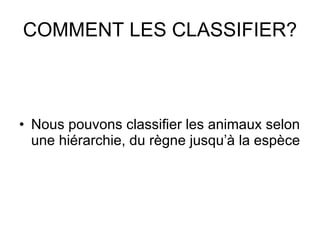COMMENT LES CLASSIFIER? Nous pouvons classifier les animaux selon une hiérarchie, du règne jusqu’à la espèce 