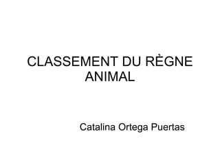 CLASSEMENT DU RÈGNE ANIMAL Catalina Ortega Puertas 