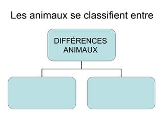 Les animaux se classifient entre DIFFÉRENCES  ANIMAUX  