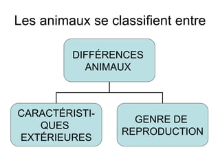 Les animaux se classifient entre DIFFÉRENCES  ANIMAUX  CARACTÉRISTI- QUES  EXTÉRIEURES GENRE DE  REPRODUCTION 