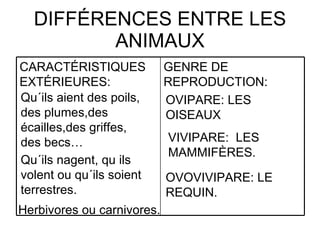 DIFFÉRENCES ENTRE LES ANIMAUX Qu´ils aient des poils, des plumes,des écailles,des griffes, des becs… Qu´ils nagent, qu ils volent ou qu´ils soient terrestres. Herbivores ou carnivores .  OVIPARE: LES OISEAUX VIVIPARE:  LES MAMMIFÈRES. OVOVIVIPARE: LE REQUIN. CARACTÉRISTIQUES EXTÉRIEURES:  GENRE DE REPRODUCTION: 