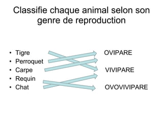Classifie chaque animal selon son genre de reproduction Tigre  OVIPARE Perroquet Carpe  VIVIPARE Requin Chat  OVOVIVIPARE 