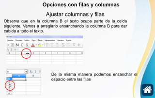 Ajustar columnas y filas
Observa que en la columna B el texto ocupa parte de la celda
siguiente. Vamos a arreglarlo ensanchando la columna B para dar
cabida a todo el texto.
De la misma manera podemos ensanchar el
espacio entre las filas
Opciones con filas y columnas
 