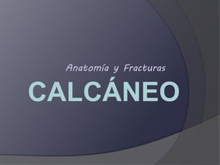 Anatomía y Fracturas 
CALCÁNEO 
 
