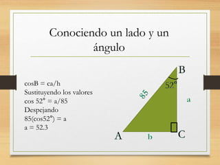 Conociendo un lado y un 
ángulo 
cosB = ca/h 
Sustituyendo los valores 
cos 52° = a/85 
Despejando 
85(cos52°) = a 
a = 52.3 
 
