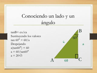 Conociendo un lado y un 
ángulo 
tanB= co/ca 
Sustituyendo los valores 
tan 60° = 60/a 
Despejando 
a(tan60°) = 60 
a = 60/tan60° 
a = 20√3 
 