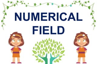 NUMERICAL
FIELD
 