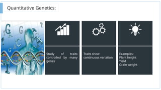 Additive Effects Genetics Comprehensive Analysis of Additive and Dominance Effects in Plant ...