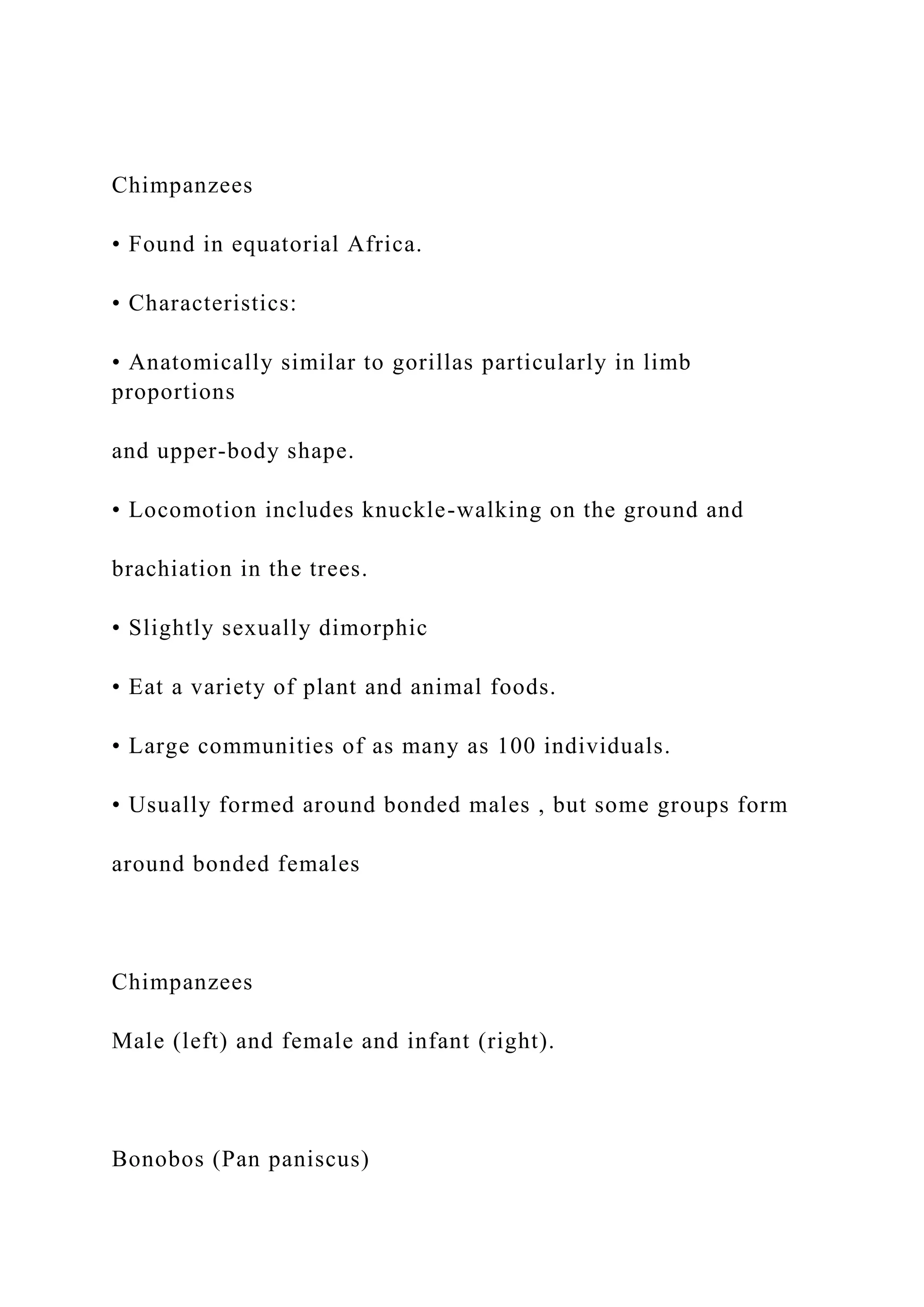 Chimpanzees
• Found in equatorial Africa.
• Characteristics:
• Anatomically similar to gorillas particularly in limb
proportions
and upper-body shape.
• Locomotion includes knuckle-walking on the ground and
brachiation in the trees.
• Slightly sexually dimorphic
• Eat a variety of plant and animal foods.
• Large communities of as many as 100 individuals.
• Usually formed around bonded males , but some groups form
around bonded females
Chimpanzees
Male (left) and female and infant (right).
Bonobos (Pan paniscus)
 