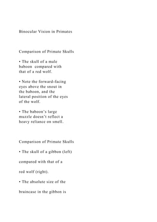 Binocular Vision in Primates
Comparison of Primate Skulls
• The skull of a male
baboon compared with
that of a red wolf.
• Note the forward-facing
eyes above the snout in
the baboon, and the
lateral position of the eyes
of the wolf.
• The baboon’s large
muzzle doesn’t reflect a
heavy reliance on smell.
Comparison of Primate Skulls
• The skull of a gibbon (left)
compared with that of a
red wolf (right).
• The absolute size of the
braincase in the gibbon is
 