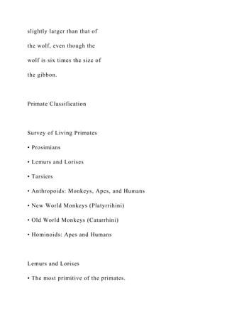slightly larger than that of
the wolf, even though the
wolf is six times the size of
the gibbon.
Primate Classification
Survey of Living Primates
• Prosimians
• Lemurs and Lorises
• Tarsiers
• Anthropoids: Monkeys, Apes, and Humans
• New World Monkeys (Platyrrihini)
• Old World Monkeys (Catarrhini)
• Hominoids: Apes and Humans
Lemurs and Lorises
• The most primitive of the primates.
 