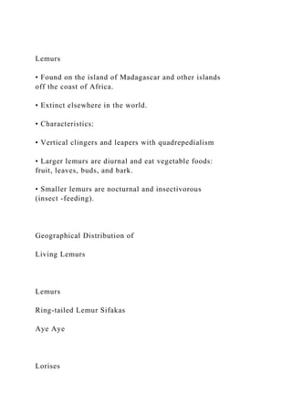Lemurs
• Found on the island of Madagascar and other islands
off the coast of Africa.
• Extinct elsewhere in the world.
• Characteristics:
• Vertical clingers and leapers with quadrepedialism
• Larger lemurs are diurnal and eat vegetable foods:
fruit, leaves, buds, and bark.
• Smaller lemurs are nocturnal and insectivorous
(insect -feeding).
Geographical Distribution of
Living Lemurs
Lemurs
Ring-tailed Lemur Sifakas
Aye Aye
Lorises
 