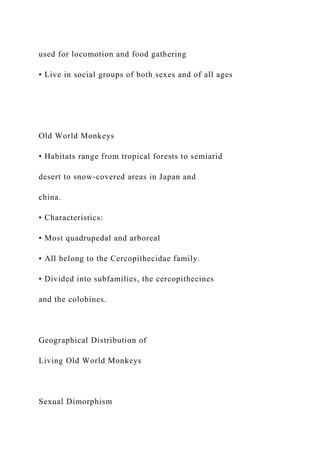 used for locomotion and food gathering
• Live in social groups of both sexes and of all ages
Old World Monkeys
• Habitats range from tropical forests to semiarid
desert to snow-covered areas in Japan and
china.
• Characteristics:
• Most quadrupedal and arboreal
• All belong to the Cercopithecidae family.
• Divided into subfamilies, the cercopithecines
and the colobines.
Geographical Distribution of
Living Old World Monkeys
Sexual Dimorphism
 