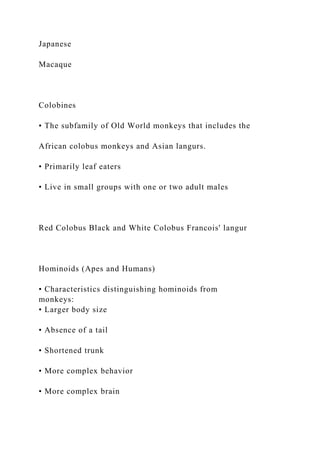 Japanese
Macaque
Colobines
• The subfamily of Old World monkeys that includes the
African colobus monkeys and Asian langurs.
• Primarily leaf eaters
• Live in small groups with one or two adult males
Red Colobus Black and White Colobus Francois' langur
Hominoids (Apes and Humans)
• Characteristics distinguishing hominoids from
monkeys:
• Larger body size
• Absence of a tail
• Shortened trunk
• More complex behavior
• More complex brain
 