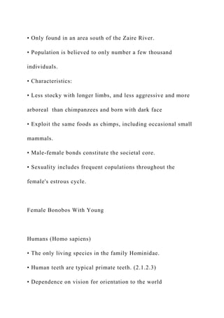 • Only found in an area south of the Zaire River.
• Population is believed to only number a few thousand
individuals.
• Characteristics:
• Less stocky with longer limbs, and less aggressive and more
arboreal than chimpanzees and born with dark face
• Exploit the same foods as chimps, including occasional small
mammals.
• Male-female bonds constitute the societal core.
• Sexuality includes frequent copulations throughout the
female's estrous cycle.
Female Bonobos With Young
Humans (Homo sapiens)
• The only living species in the family Hominidae.
• Human teeth are typical primate teeth. (2.1.2.3)
• Dependence on vision for orientation to the world
 