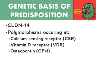 CALCULI
•CLDN-14
•Polymorphisms occuring at:
• Calcium-sensing receptor (CSR)
• Vitamin D receptor (VDR)
• Osteopontin (OPN)
GENETIC BASIS OF
PREDISPOSITION
 