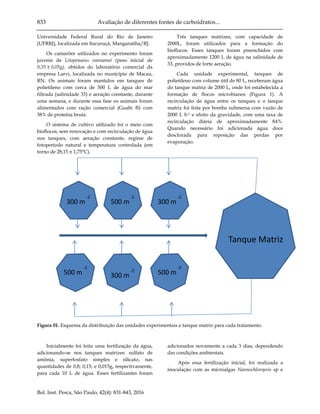 833 Avaliação de diferentes fontes de carboidratos...
Bol. Inst. Pesca, São Paulo, 42(4): 831-843, 2016
Universidade Federal Rural do Rio de Janeiro
(UFRRJ), localizada em Itacuruçá, Mangaratiba/RJ.
Os camarões utilizados no experimento foram
juvenis de Litopenaeus vannamei (peso inicial de
0,35 ± 0,05g), obtidos do laboratório comercial da
empresa Larvi, localizada no município de Macau,
RN. Os animais foram mantidos em tanques de
polietileno com cerca de 300 L de água do mar
filtrada (salinidade 33) e aeração constante, durante
uma semana, e durante essa fase os animais foram
alimentados com ração comercial (Guabi ®) com
38% de proteína bruta.
O sistema de cultivo utilizado foi o meio com
bioflocos, sem renovação e com recirculação de água
nos tanques, com aeração constante, regime de
fotoperíodo natural e temperatura controlada (em
torno de 28,15 ± 1,75°C).
Três tanques matrizes, com capacidade de
2000L, foram utilizados para a formação do
bioflocos. Esses tanques foram preenchidos com
aproximadamente 1200 L de água na salinidade de
33, providos de forte aeração.
Cada unidade experimental, tanques de
polietileno com volume útil de 80 L, receberam água
do tanque matriz de 2000 L, onde foi estabelecida a
formação de flocos microbianos (Figura 1). A
recirculação de água entre os tanques e o tanque
matriz foi feita por bomba submersa com vazão de
2000 L h-1 e efeito da gravidade, com uma taxa de
recirculação diária de aproximadamente 84%.
Quando necessário foi adicionada água doce
desclorada para reposição das perdas por
evaporação.
Figura 01. Esquema da distribuição das unidades experimentais e tanque matriz para cada tratamento.
Inicialmente foi feita uma fertilização da água,
adicionando-se nos tanques matrizes: sulfato de
amônia, superfosfato simples e silicato, nas
quantidades de 0,8; 0,15; e 0,015g, respectivamente,
para cada 10 L de água. Esses fertilizantes foram
adicionados novamente a cada 3 dias, dependendo
das condições ambientais.
Após essa fertilização inicial, foi realizada a
inoculação com as microalgas Nannochloropsis sp e
Tanque Matriz
300 m
-2
500 m
-2
500 m
-2
500 m
-2
300 m
-2
300 m
-2
 