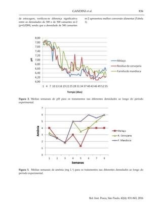 GANDINI et al. 836
Bol. Inst. Pesca, São Paulo, 42(4): 831-843, 2016
de estocagem, verificou-se diferença significativa
entre as densidades de 300 e de 500 camarões m-2
(p=0,0289), sendo que a densidade de 300 camarões
m-2 apresentou melhor conversão alimentar (Tabela
1).
Figura 2. Médias semanais de pH para os tratamentos nas diferentes densidades ao longo do período
experimental.
Figura 3. Médias semanais de amônia (mg L-1) para os tratamentos nas diferentes densidades ao longo do
período experimental.
 