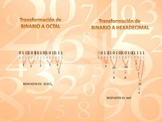 Calculo De Complementos