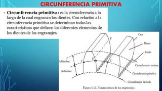 CIRCUNFERENCIA PRIMITIVA
 