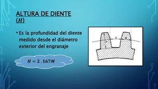 ALTURA DE DIENTE
(𝑯)
• Es la profundidad del diente
medido desde el diámetro
exterior del engranaje
𝑯 = 𝟐 . 𝟏𝟔𝟕𝑴
 