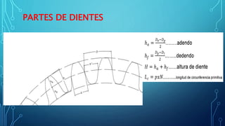 PARTES DE DIENTES
 