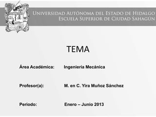 TEMA
Área Académica: Ingeniería Mecánica
Profesor(a): M. en C. Yira Muñoz Sánchez
Periodo: Enero – Junio 2013
 