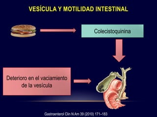 VESÍCULA Y MOTILIDAD INTESTINAL
Colecistoquinina
Deterioro en el vaciamiento
de la vesícula
Gastroenterol Clin N Am 39 (2010) 171–183
 