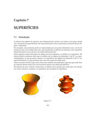Capítulo 7

SUPERFÍCIES

7.1 Introdução
A maioria dos objetos da natureza são tridimensionais, porém, em muitos casos para estudá
-los, sem perda de generalidade, nós desconsideramos uma característica essencial desses ob-
jetos: a dimensão.
Por exemplo, uma partícula pode ser representada por um ponto (dimensão zero), um ﬁo de
metal por uma curva (dimensão um), uma membrana ou lâmina de metal por uma superfície
(dimensão dois) e um avião por um sólido (dimensão tres).
Neste capítulo existem dois tipos de objetos de nosso interesse: os sólidos e as superfícies. De
forma intuitiva podemos dizer que os sólidos são os objetos de dimensão 3 em R3 ou, equi-
valentemente, os que possuem volume e as superfícies são objetos de dimensão 2 em R3 ou,
equivalentemente, os que possuem área, mas tem espessura irrelevante.
Vários conceitos técnicos que serão vistos mais adiante, tem deﬁnições rigorosas que estão fora
do contexto destas notas e por isso ﬁcaremos apenas com idéias geométricas.
Do Cálculo de uma variável, conhecemos os sólidos de revolução; por outro lado, do Cálculo
em várias variáveis, os planos e as quádricas são exemplos de superfícies.




                                          Figura 7.1:

                                              161
 