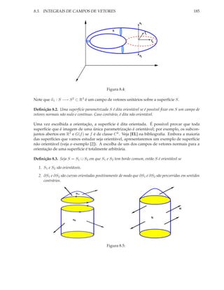 8.3. INTEGRAIS DE CAMPOS DE VETORES                                                             185

                                                               n1

                                              S
                                                                    Tv

                                                                         Tu



                                                               n2




                                           Figura 8.4:

Note que n1 : S −→ S 2 ⊂ R3 é um campo de vetores unitários sobre a superfície S.

Deﬁnição 8.2. Uma superfície parametrizada S é dita orientável se é possível ﬁxar em S um campo de
vetores normais não nulo e contínuo. Caso contrário, é dita não orientável.

Uma vez escolhida a orientação, a superfície é dita orientada. É possível provar que toda
superfície que é imagem de uma única parametrização é orientável; por exemplo, os subcon-
juntos abertos em R3 e G(f ) se f é de classe C k . Veja [EL] na bibliograﬁa. Embora a maioria
das superfícies que vamos estudar seja orientável, apresentaremos um exemplo de superfície
não orientável (veja o exemplo [2]). A escolha de um dos campos de vetores normais para a
orientação de uma superfície é totalmente arbitrária.

Deﬁnição 8.3. Seja S = S1 ∪ S2 em que S1 e S2 tem bordo comum, então S é orientável se

  1. S1 e S2 são orientáveis.

  2. ∂S1 e ∂S2 são curvas orientadas positivamente de modo que ∂S1 e ∂S2 são percorridas em sentidos
     contrários.


                         S1




                                                                                       n

                                                                         S
                       S2




                                           Figura 8.5:
 