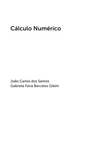João Carlos dos Santos
Gabriela Faria Barcelos Gibim
Cálculo Numérico
 