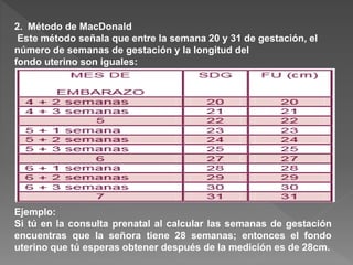 2022 nuova Calendario De Embarazo Por Semanas Y Meses calendario 1929