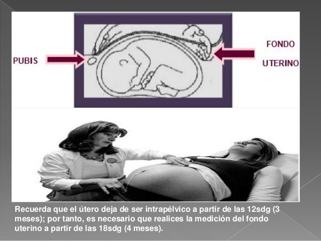 Calculos obstetricos