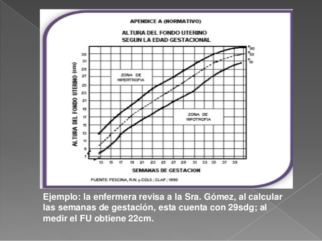 Calculos Obstetricos