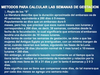 calculosobstetricos. Semanas de gestacion | PPTX