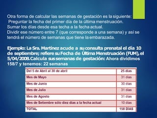 calculosobstetricos. Semanas de gestacion | PPTX