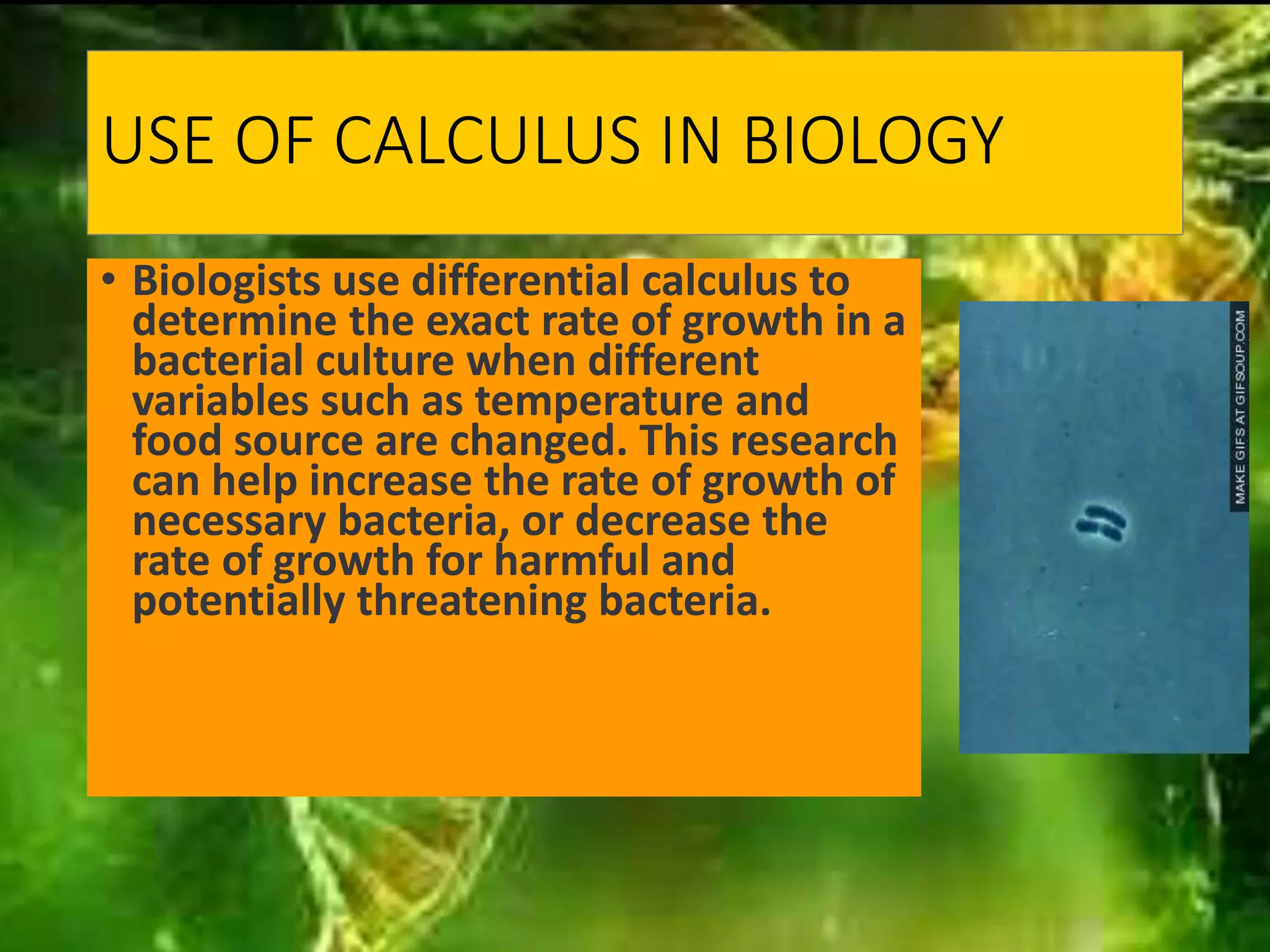 USE OF CALCULUS IN BIOLOGY
• Biologists use differential calculus to
determine the exact rate of growth in a
bacterial culture when different
variables such as temperature and
food source are changed. This research
can help increase the rate of growth of
necessary bacteria, or decrease the
rate of growth for harmful and
potentially threatening bacteria.
 
