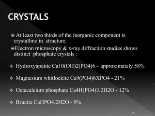  At least two thirds of the inorganic component is
crystalline in structure.
Electron microscopy & x-ray diffraction studies shows
distinct phosphate crystals :
 Hydroxyapatite Ca10(OH)2(PO4)6 – approximately 58%
 Magnesium whitlockite Ca9(PO4)6XPO4 - 21%
 Octacalcium phosphate Ca4H(PO4)3.2H2O - 12%
 Brucite CaHPO4.2H2O - 9%
16
 