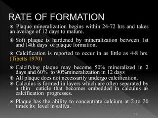  Plaque mineralization begins within 24-72 hrs and takes
an average of 12 days to mature.
 Soft plaque is hardened by mineralization between 1st
and 14th days of plaque formation.
 Calcification is reported to occur in as little as 4-8 hrs.
(Tibetts 1970)
 Calcifying plaque may become 50% mineralized in 2
days and 60% to 90%mineralization in 12 days
 All plaque does not necessarily undergo calcification.
 Calculus is formed in layers which are often separated by
a thin cuticle that becomes embedded in calculus as
calcification progresses.
 Plaque has the ability to concentrate calcium at 2 to 20
times its level in saliva.
31
 