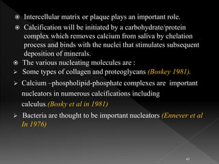  Intercellular matrix or plaque plays an important role.
 Calcification will be initiated by a carbohydrate/protein
complex which removes calcium from saliva by chelation
process and binds with the nuclei that stimulates subsequent
deposition of minerals.
 The various nucleating molecules are :
 Some types of collagen and proteoglycans (Boskey 1981).
 Calcium –phospholipid-phosphate complexes are important
nucleators in numerous calcifications including
calculus.(Bosky et al in 1981)
 Bacteria are thought to be important nucleators (Ennever et al
In 1976)
43
 